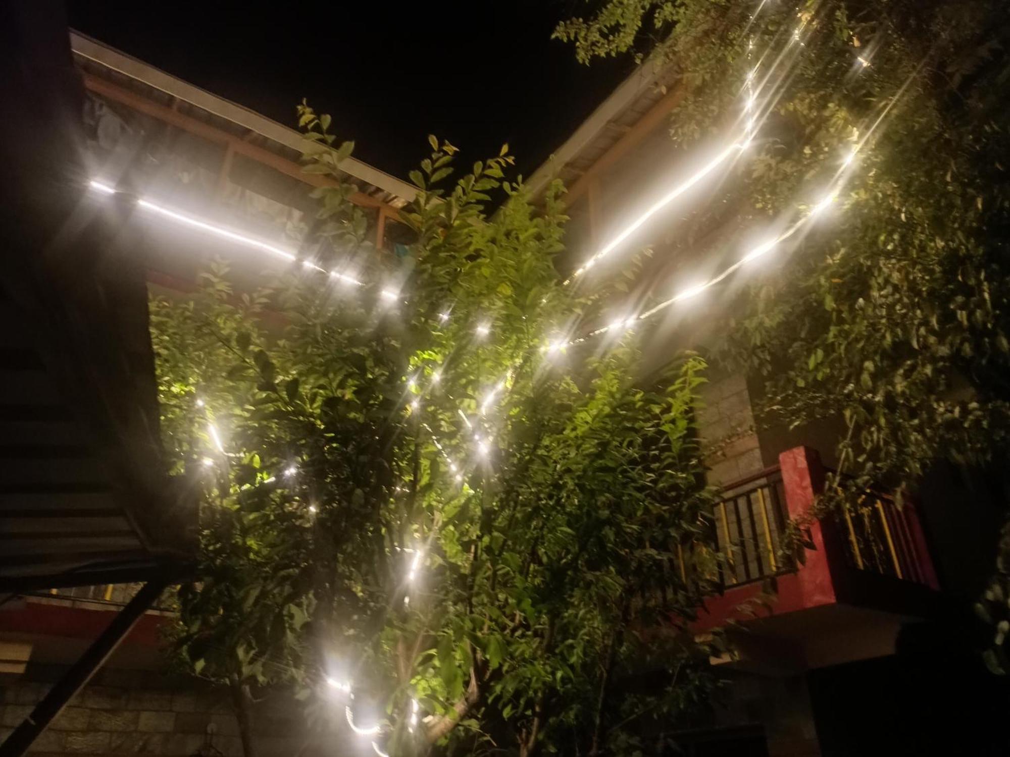Tirthan Hilltop Home Stay Banjār Eksteriør bilde