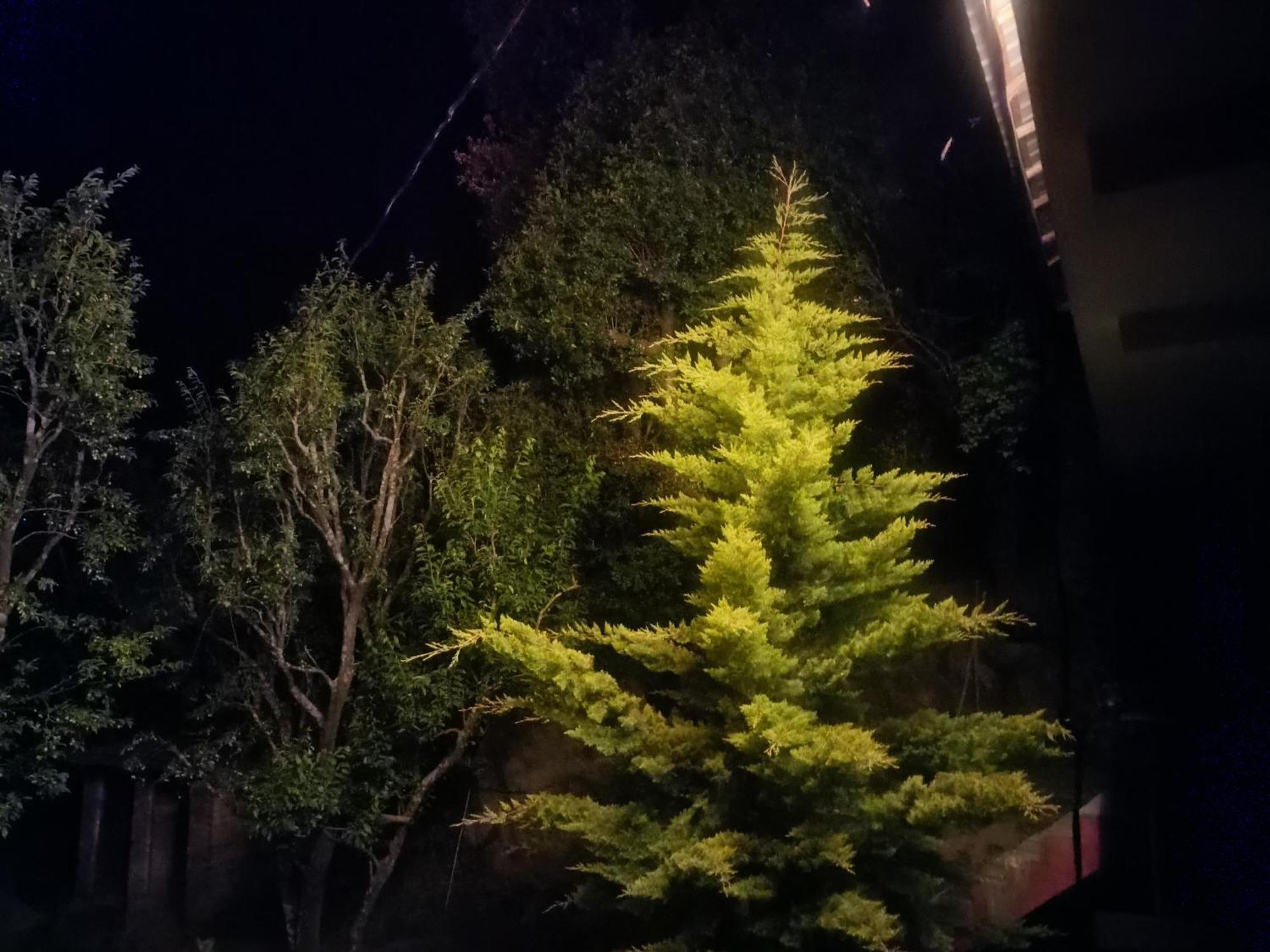 Tirthan Hilltop Home Stay Banjār Eksteriør bilde